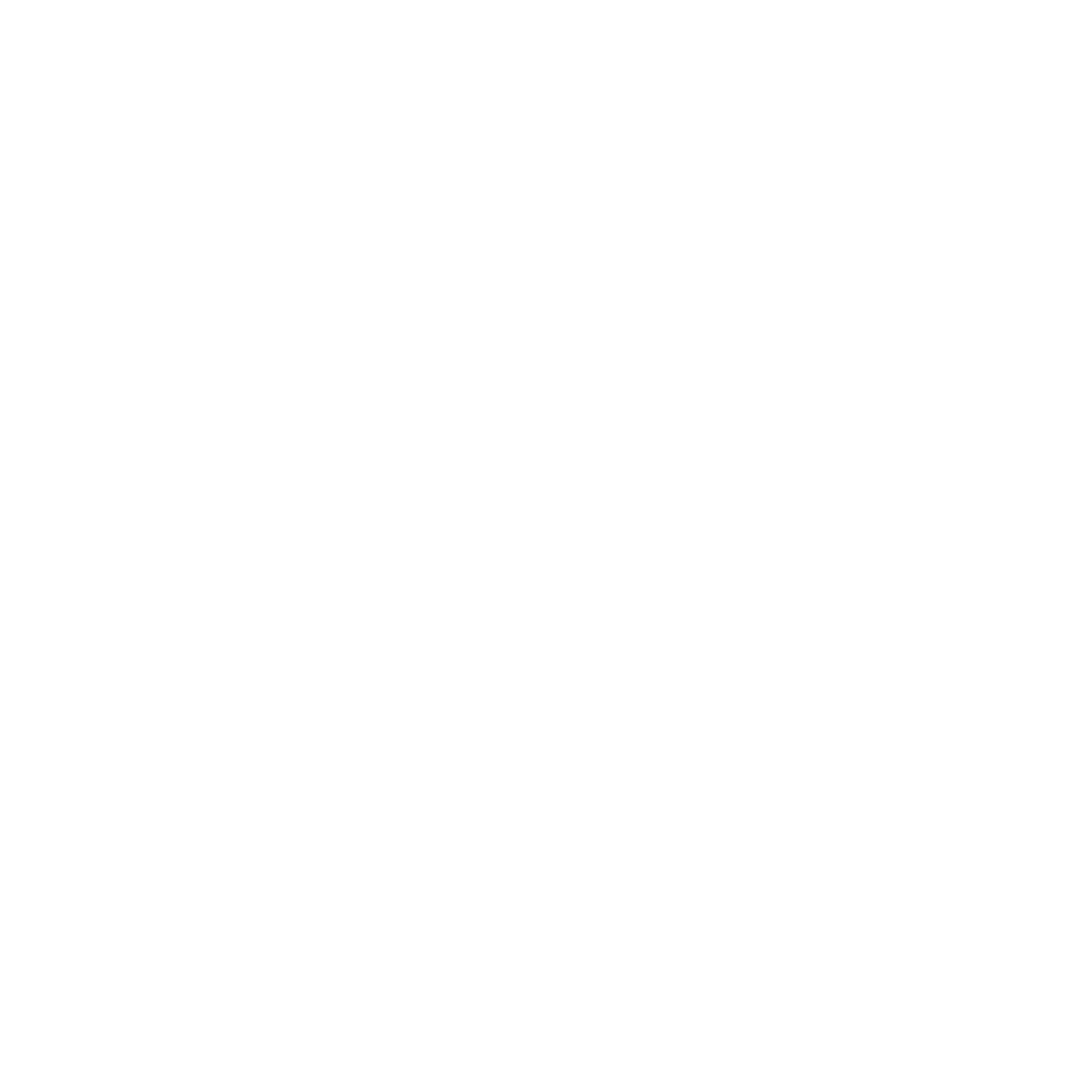 Serious Vibes Logo